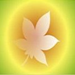 どっとさむのプロフィール