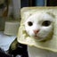 宮ちゃんのサムネイル