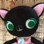 ☆さっちんの独り言☆（ドロップ）のサムネイル