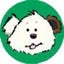 画像 シーズー犬点心の毎日のユーザープロフィール画像