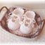 ztotoroのサムネイル