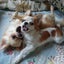 まじぇのサムネイル