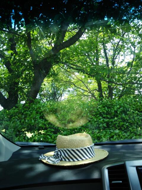 たまぴよ
