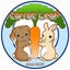 画像 Carrot Leaf のブログのユーザープロフィール画像