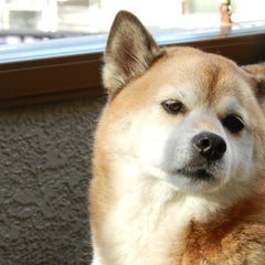 maskempのプロフィール
