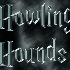 モンスト ハルク運極 Howling Hounds 遠吠えする猟犬 モンスト ハルク運極 Howling Hounds 遠吠えする猟犬