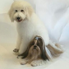 美咲希のプロフィール