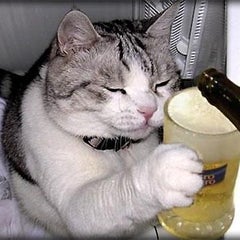 彼はトモダチ こころ 彼はトモダチ こころ