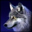 画像 銀狼の道中記のユーザープロフィール画像