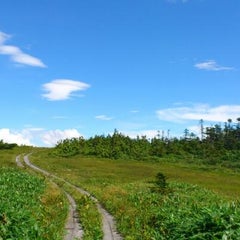 白い病気 ネタバレありまくり こめっこブログ