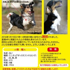 るいが誘拐されて半年経ちました Rui74aimu817 るいが誘拐されて半年経ちました Rui74aimu817