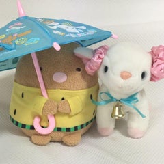 Mのプロフィール