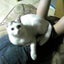 画像 変態脳内覗き見日和のユーザープロフィール画像