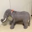 こりんのサムネイル