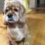 norippeのサムネイル
