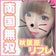 秋葉原リフレ　南国無双