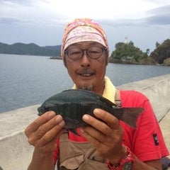 下野正希のプロフィール