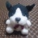 犬子(わんこ)＊のわんわんブログ