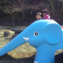 furufuruppenのプロフィール