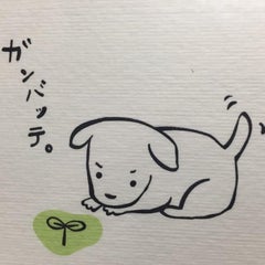ゆったろのプロフィール