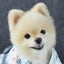 松本チャッピーのサムネイル