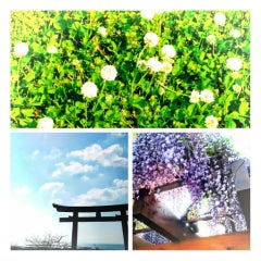 菜菜のプロフィール