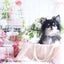 画像 愛犬と通えるわんこのフォトレッスン・名古屋・サロンドラドスのユーザープロフィール画像