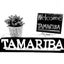 画像 宍粟市山崎町レンタルスペース  work shop TAMARIBA  ワークショップ・教室開催、飲み会・女子会に！のユーザープロフィール画像