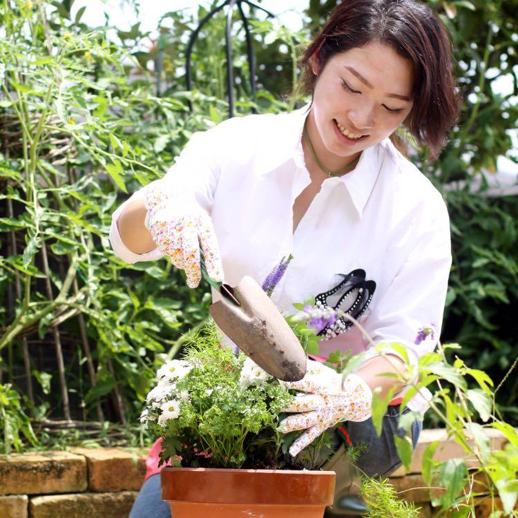 ツルニチニチソウ 繁栄と幸福の象徴 涼しげな花で夏のガーデニングを 広島のガーデンコーディネーター ゆっこの庭 寄せ植え教室