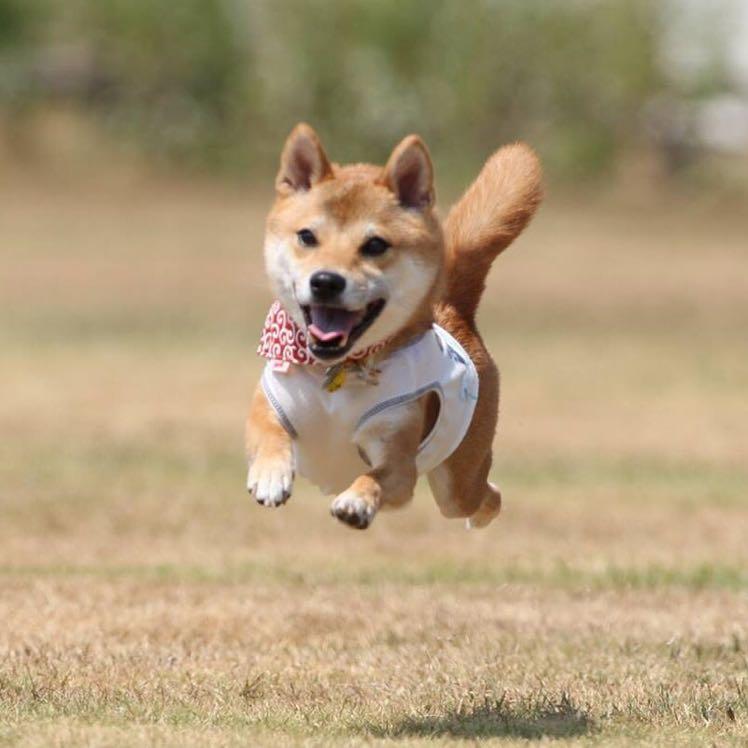 ちかモン