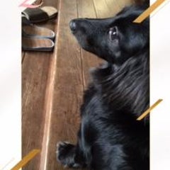 のり～んのプロフィール