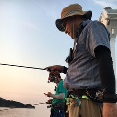 ノヴゾーのプロフィール