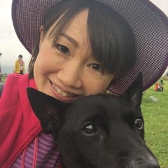 フードを食べない犬の解決法 ほめほめドッグトレーナー由香のブログ 愛犬と もっと楽しく