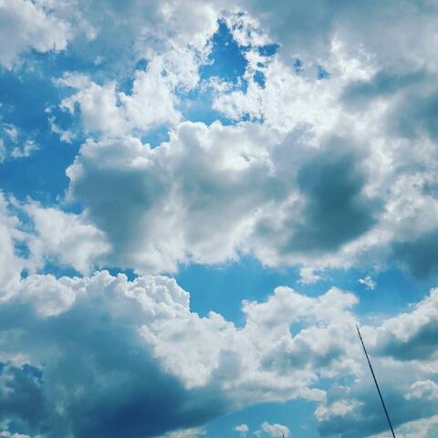 おちまちのすけ