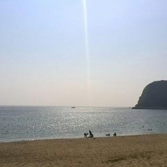 加津佐のプロフィール