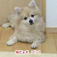 もっと高価買取ジャパンドットコムのプロフィール