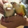 ちょびぷく日記
