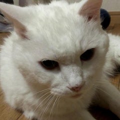 dai555manngaのプロフィール