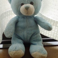 文化ライターのブルーノのプロフィール