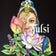 Tulsi-Bollywoodのブログ