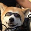 画像 秋田犬の看板犬はやちゃん＆看板猫バサラの《はやちゃんち》オフィシャルブログのユーザープロフィール画像