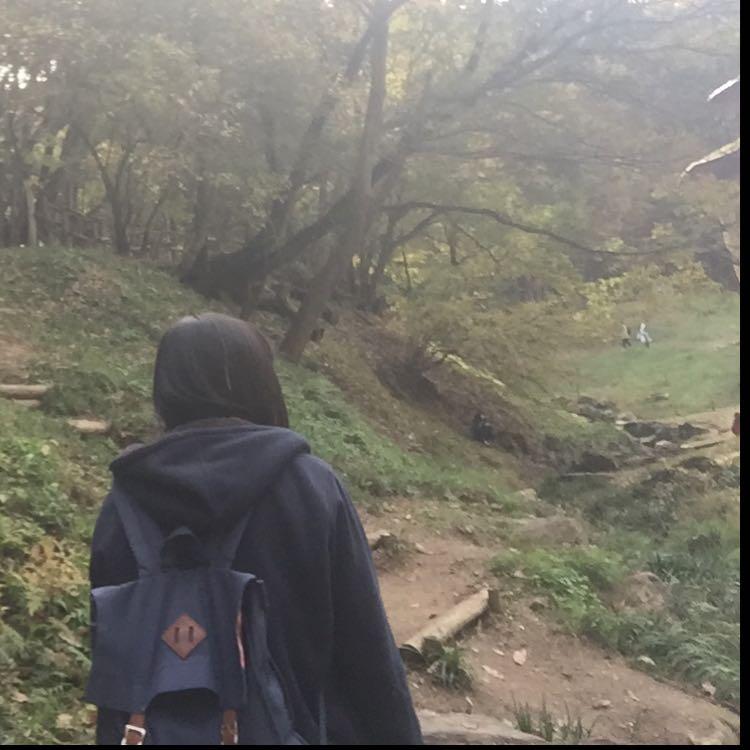 のってい