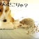 コギるきハリまろんと私