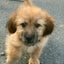 画像 あいちゃんブログのユーザープロフィール画像