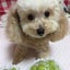 Mahaloのサムネイル