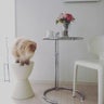 eco and cat.のプロフィール
