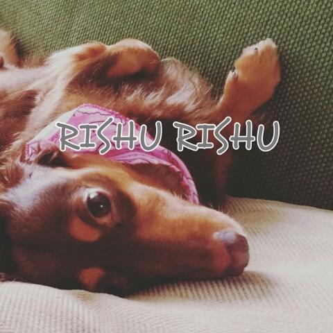 RISHU RISHU