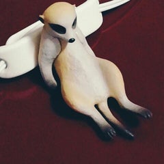 nのプロフィール