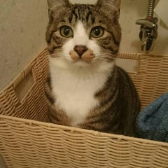 那岐のプロフィール