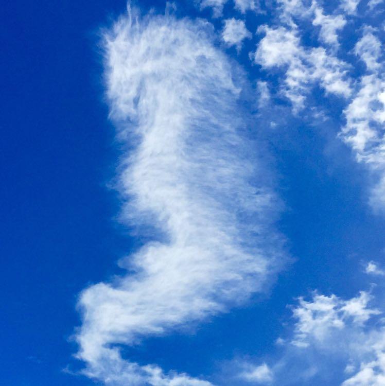 ルミリー はどうなった 21は縁起物
